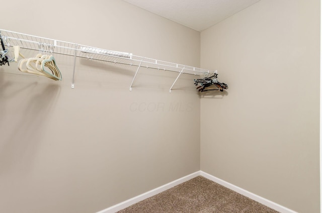 7839 Eastcross Dr, New Albany, OH 43054 - walk in closet with carpet flooring