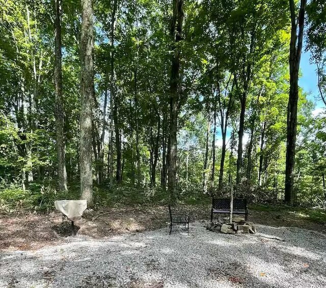 58393 N Branch Rd, South Bloomingville, OH 43152 - photo 17