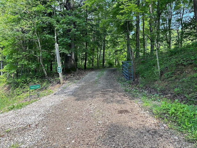 58393 N Branch Rd, South Bloomingville, OH 43152 - photo 3
