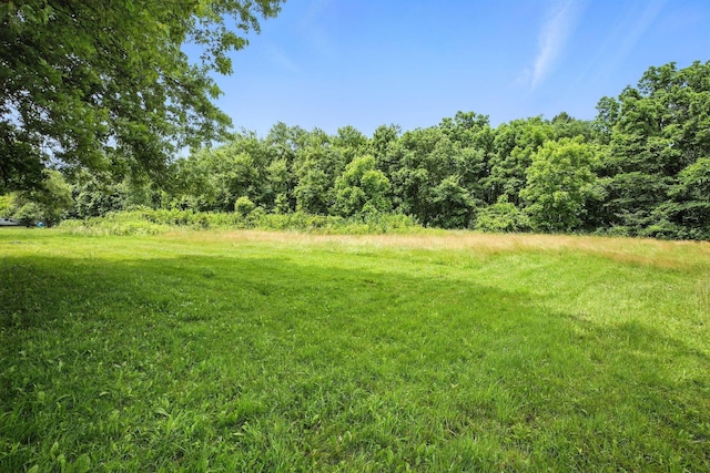 7999 Moody Rd, Centerburg, OH 43011 - photo 50