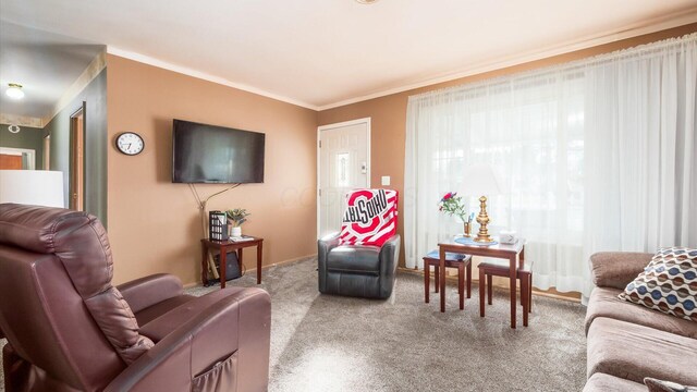 524 Ridgefield Rd, Newark, OH 43055 - carpeted living room featuring crown molding