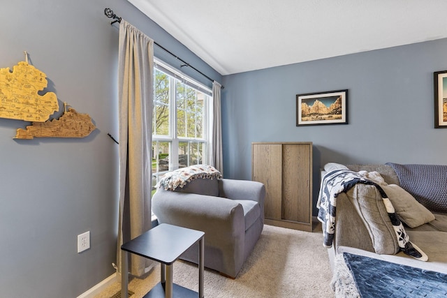 5290 Berthold Pass Dr, Dublin, OH 43016 - sitting room with light carpet