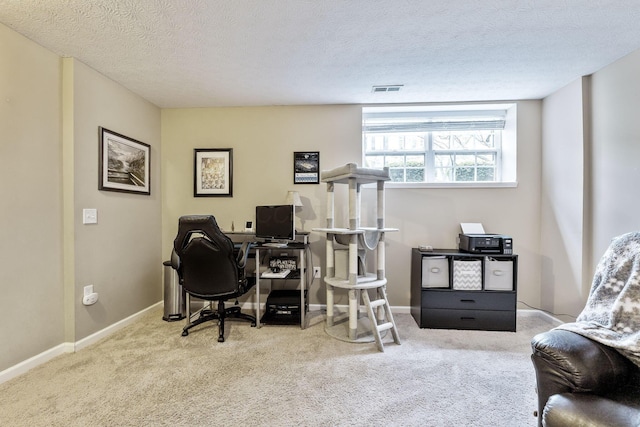 5290 Berthold Pass Dr, Dublin, OH 43016 - office featuring carpet flooring, baseboards, and a textured ceiling