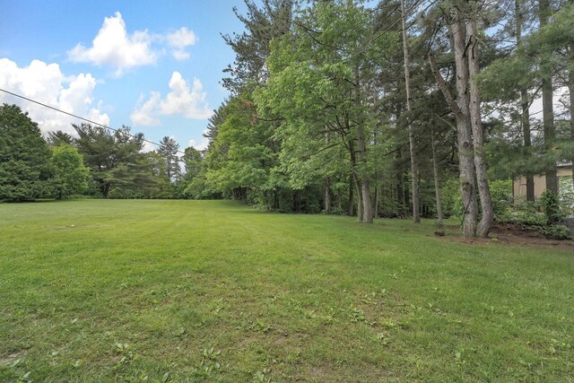 363 Carroll Eastern Rd NW, Baltimore, OH 43105 - view of green lawn
