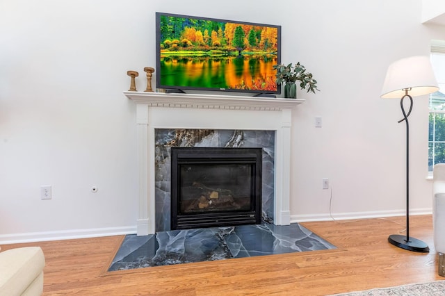 6641 Steen St, Canal Winchester, OH 43110 - detailed view of wood finished floors and a high end fireplace