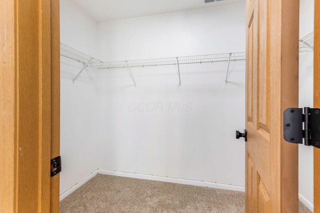 6641 Steen St, Canal Winchester, OH 43110 - spacious closet with carpet