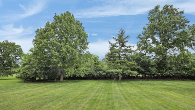 6580 Lake Of The Woods Pt, Galena, OH 43021 - photo 8