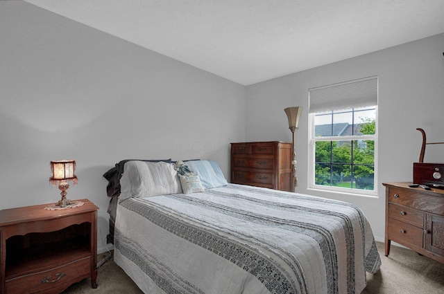 4057 Blendon Point Dr Unit 60A, Columbus, OH 43230 - bedroom featuring carpet and baseboards