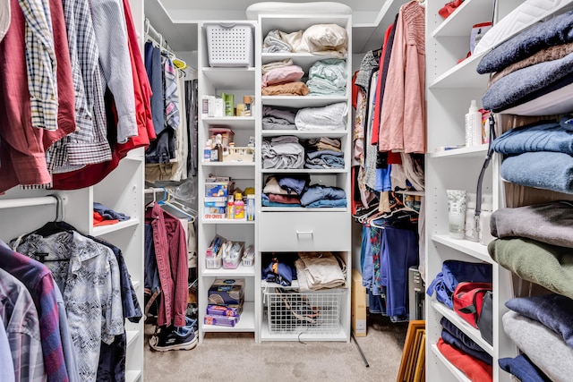 3753 Homer Rd NW, Utica, OH 43080 - walk in closet featuring carpet