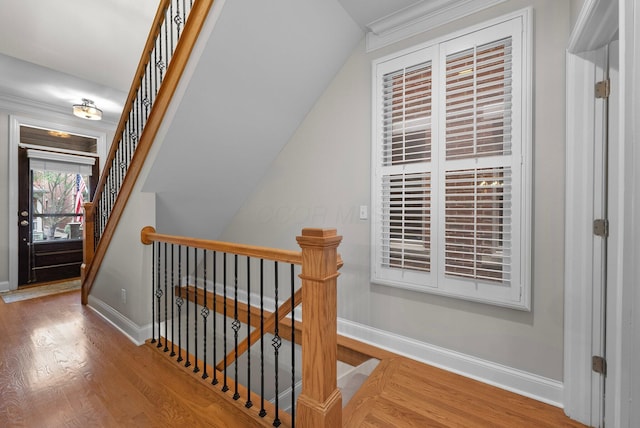 1054 Perry St, Columbus, OH 43201 - stairs with wood finished floors, baseboards, and lofted ceiling