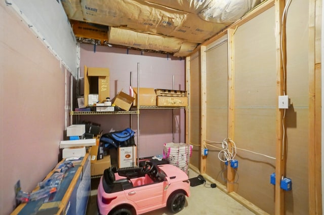 218 Christian St, Delaware, OH 43015 - view of storage area