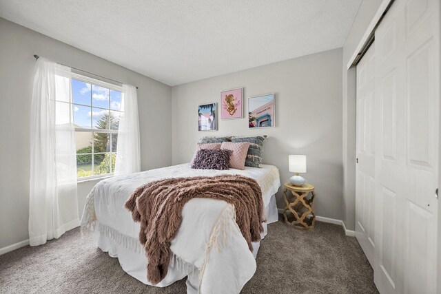 1779 Westwood Dr, Lewis Center, OH 43035 - bedroom with carpet floors, a closet, baseboards, and a textured ceiling