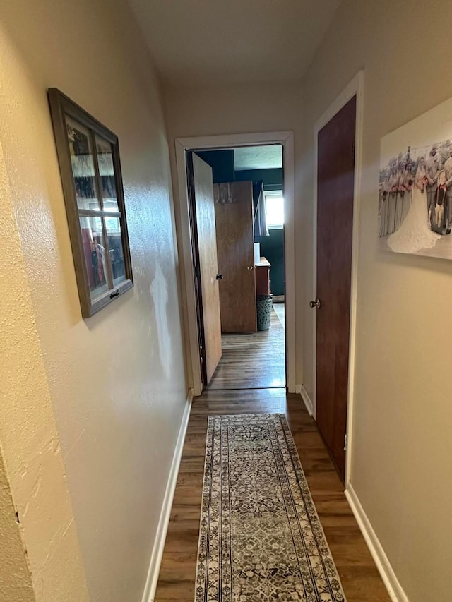 4902 Columbus Sandusky Rd N, Marion, OH 43302 - corridor featuring wood finished floors and baseboards