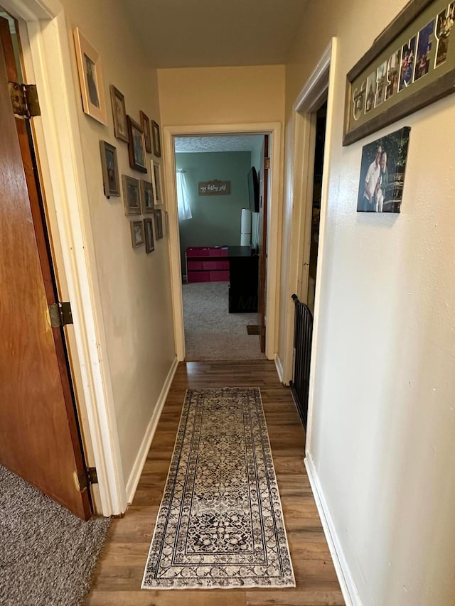 4902 Columbus Sandusky Rd N, Marion, OH 43302 - hallway featuring dark wood-style flooring and baseboards