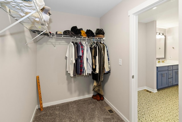 3000 State Route 257, Radnor, OH 43066 - walk in closet featuring a sink and light carpet