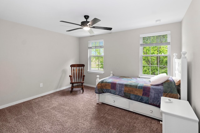 3000 State Route 257, Radnor, OH 43066 - carpeted bedroom featuring baseboards and a ceiling fan