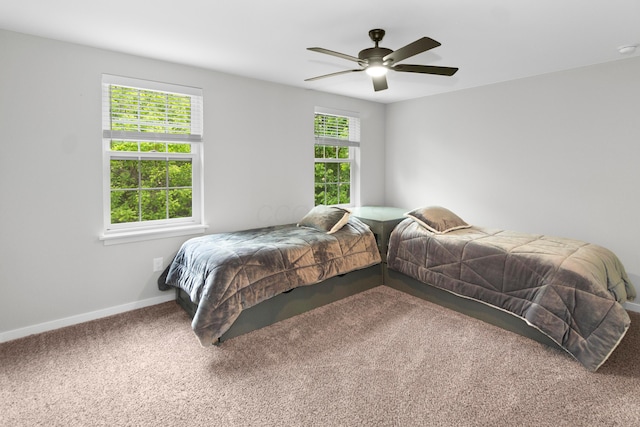 3000 State Route 257, Radnor, OH 43066 - bedroom featuring carpet, baseboards, and a ceiling fan