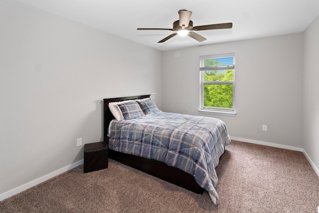 3000 State Route 257, Radnor, OH 43066 - carpeted bedroom with baseboards and a ceiling fan