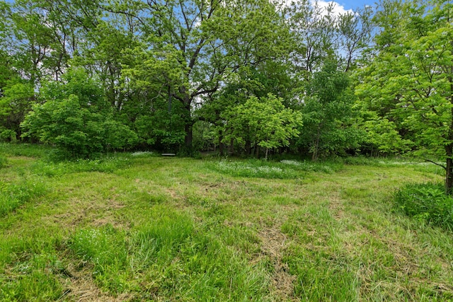 3000 State Route 257, Radnor, OH 43066 - view of yard