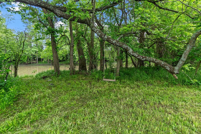 3000 State Route 257, Radnor, OH 43066 - view of yard