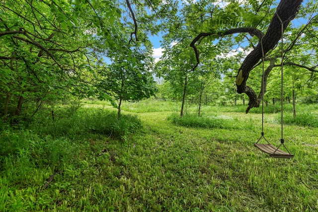 3000 State Route 257, Radnor, OH 43066 - view of local wilderness