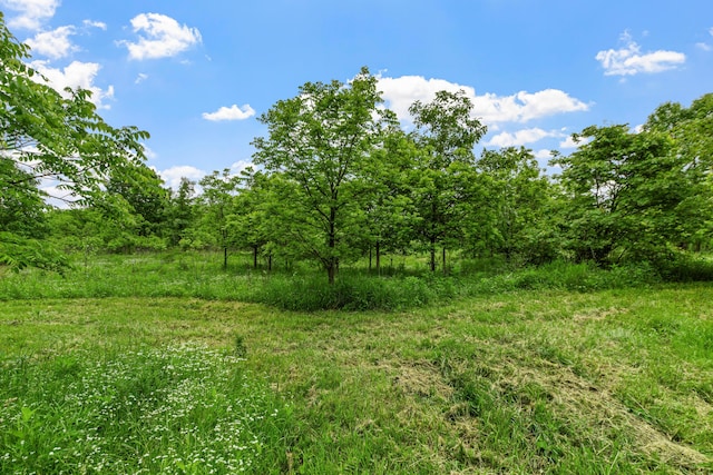3000 State Route 257, Radnor, OH 43066 - view of nature