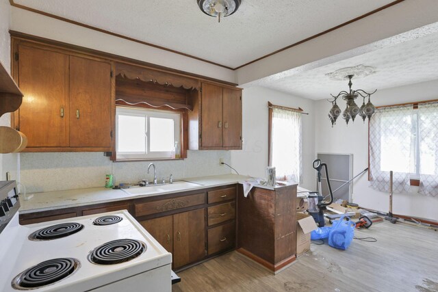 4209 Avery Rd, Hilliard, OH 43026 - kitchen with white electric stove, a textured ceiling, a sink, light wood-style floors, and light countertops
