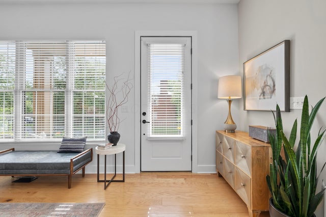 233 S Ohio Ave Unit 11, Columbus, OH 43205 - foyer with light wood finished floors, healthy amount of natural light, and baseboards