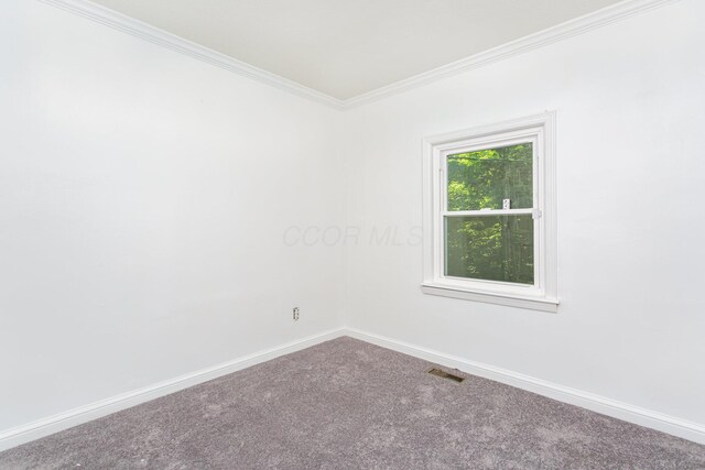 9797 York Rd SW, Etna, OH 43062 - photo 24