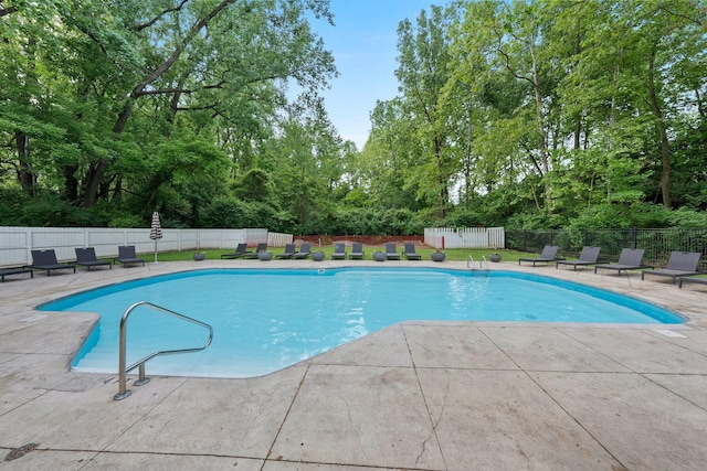 2560 Scioto View Ln, Columbus, OH 43221 - view of swimming pool featuring a patio and view of wooded area