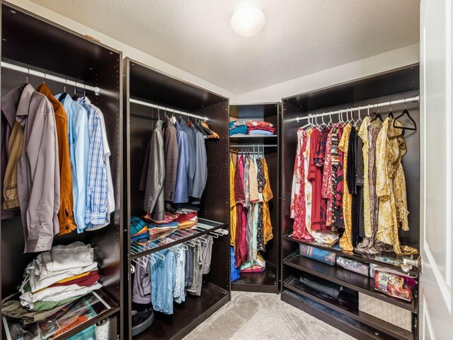 7915 Fargo Ln, Delaware, OH 43015 - walk in closet with carpet flooring