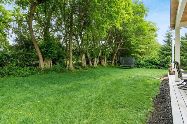 5544 Fawnbrook Ln, Dublin, OH 43017 - photo 40
