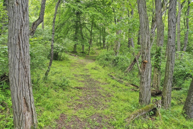 1350 Lancaster Kirkersville Rd NW, Lancaster, OH 43130 - view of tree filled area