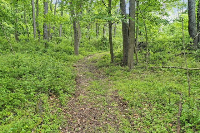 1350 Lancaster Kirkersville Rd NW, Lancaster, OH 43130 - view of wooded area