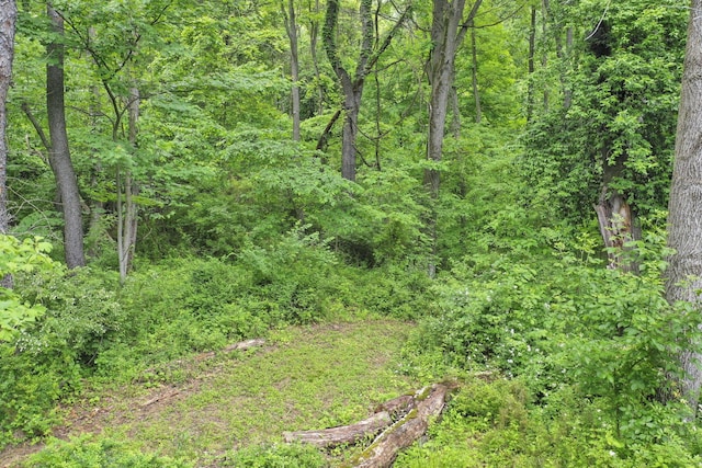 1350 Lancaster Kirkersville Rd NW, Lancaster, OH 43130 - view of wooded area