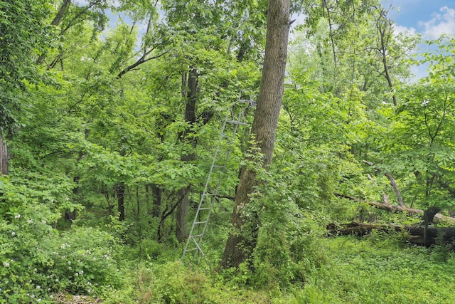 1350 Lancaster Kirkersville Rd NW, Lancaster, OH 43130 - view of tree filled area