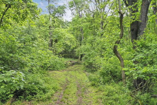 1350 Lancaster Kirkersville Rd NW, Lancaster, OH 43130 - view of woods