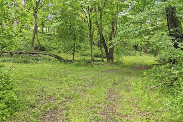 1350 Lancaster Kirkersville Rd NW, Lancaster, OH 43130 - view of yard featuring a wooded view