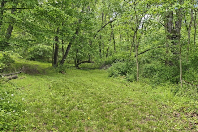 1350 Lancaster Kirkersville Rd NW, Lancaster, OH 43130 - view of yard with a wooded view