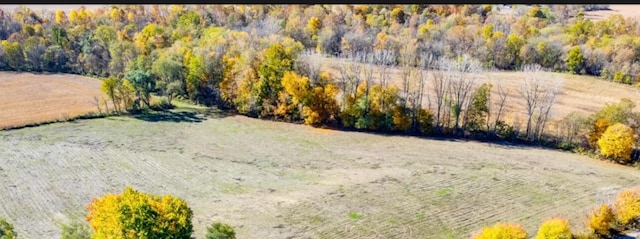 6586 County Road 23, Mount Gilead, OH 43338 - photo 1
