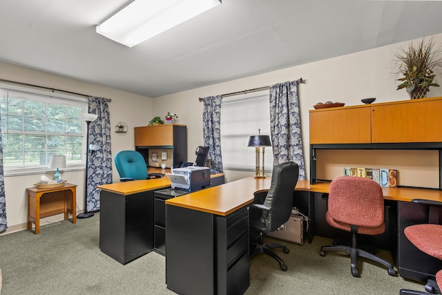 4901 Central College Rd, Westerville, OH 43081 - photo 16