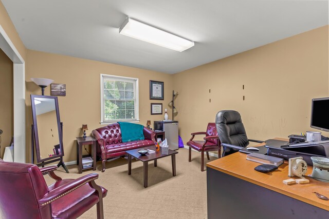 4901 Central College Rd, Westerville, OH 43081 - photo 29