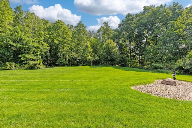 9568 Craigens Ct, Galena, OH 43021 - view of green lawn