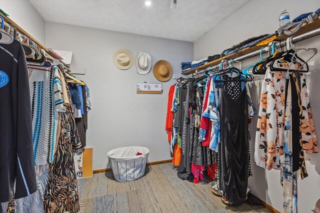 6897 Roundelay Rd N, Reynoldsburg, OH 43068 - view of walk in closet
