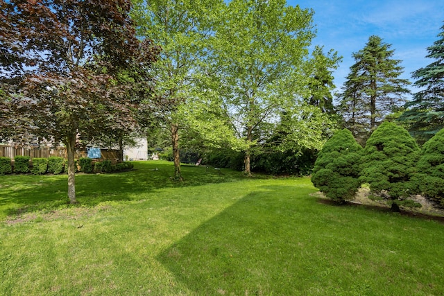 5839 Castleknock Rd, Dublin, OH 43016 - view of yard