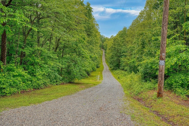 7 Whiskey Run Rd, Chillicothe, OH 45601 - view of home's community with a view of trees and gravel driveway
