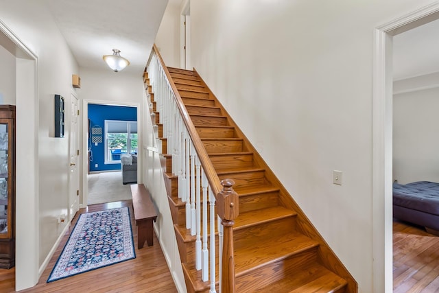 3902 Maple Grove Rd, Marion, OH 43302 - stairway with hardwood / wood-style floors and baseboards