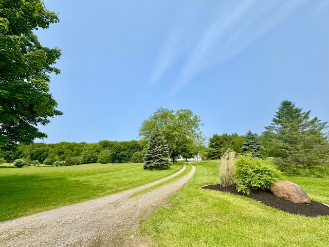 11333 Campbell Rd, Mount Vernon, OH 43050 - photo 3