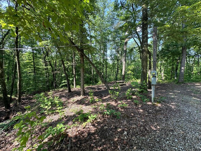 58505 N Branch Rd, South Bloomingville, OH 43152