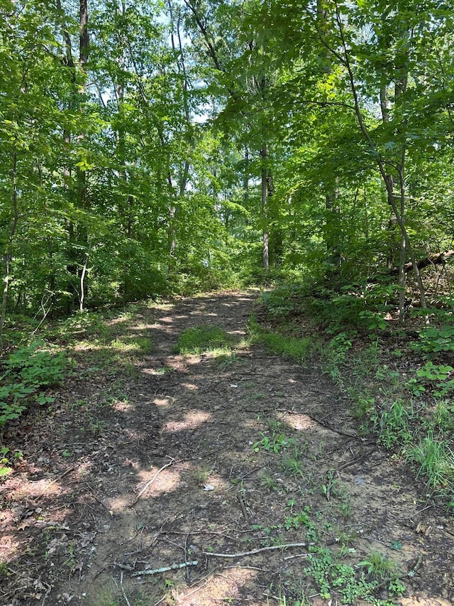 58505 N Branch Rd, South Bloomingville, OH 43152